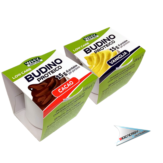 Why-BUDINO PROTEICO (Conf. 125 gr)   Cacao  